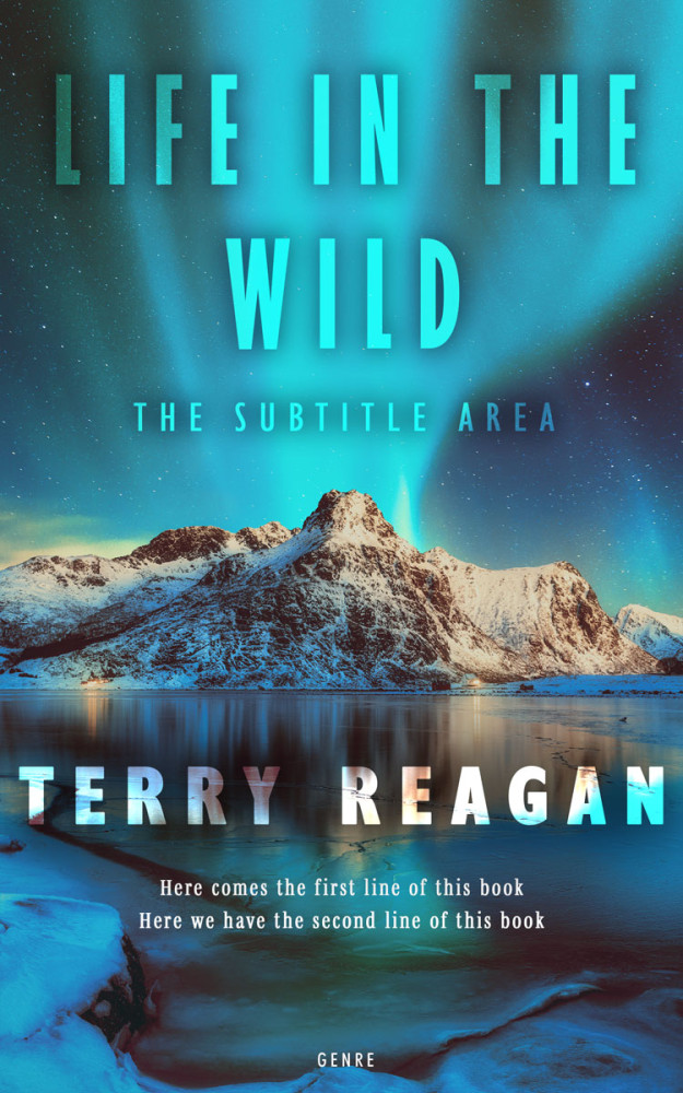 Front view of Pickled Bluewood #50027 - Premade Travel Book Cover