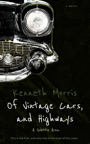 3D mockup of Marshland #374 - Premade Historical Book Cover