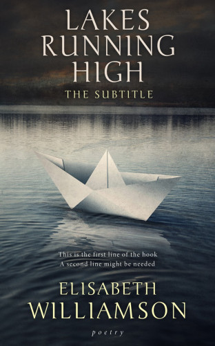 3D mockup of Shark #589 - Premade Poetry Book Cover