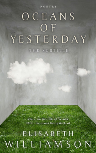 3D mockup of Limed Ash #620 - Premade Abstract Book Cover