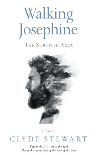 3D mockup of Pale Sky #674 - Premade Mystery & Thriller & Suspense Book Cover