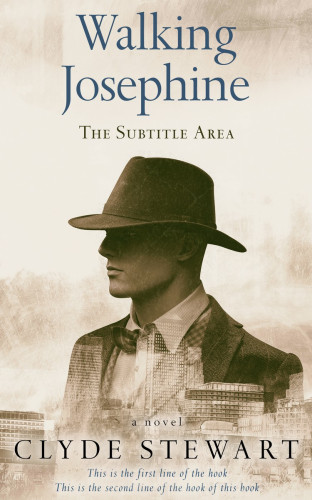 3D mockup of Pearl Bush #675 - Premade Historical Book Cover