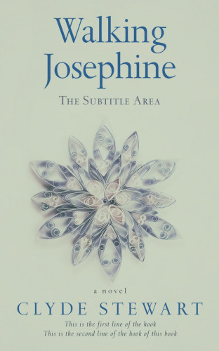 3D mockup of Clay Ash #678 - Premade Poetry Book Cover