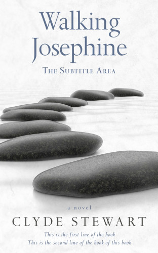 3D mockup of Abbey #0680 - Premade Poetry Book Cover | BookCoverZone