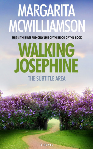 3D mockup of Gray Suit #714 - Premade Fantasy Book Cover