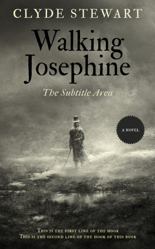 3D mockup of Flint #888 - Premade Fantasy Book Cover