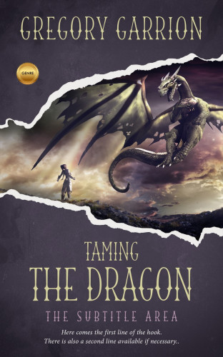 3D mockup of Ship Gray #1748 - Premade Fantasy Book Cover