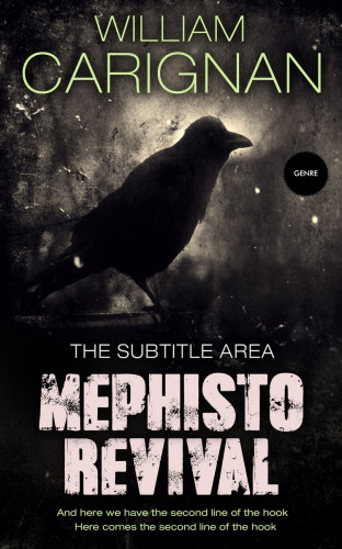 3D mockup of Wafer #2277 - Premade Fantasy Book Cover