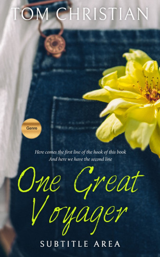 3D mockup of Big Stone #3018 - Premade Teen & Young Adult Book Cover