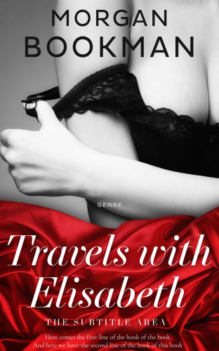 3D mockup of Alto #7299 - Premade Erotica Book Cover