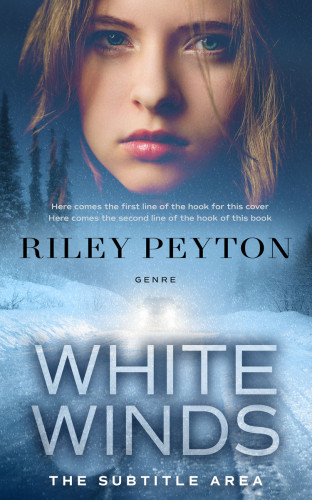 3D mockup of Blue Bayoux #7472 - Premade Mystery & Thriller & Suspense Book Cover