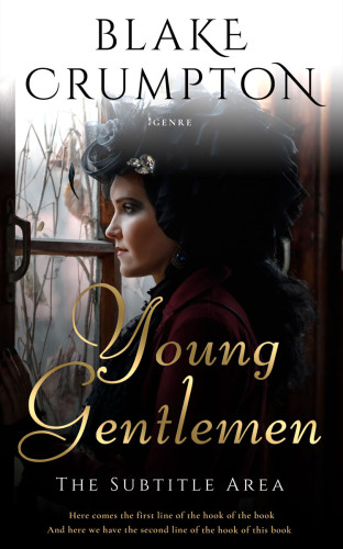 3D mockup of Silk #11846 - Premade Historical Book Cover