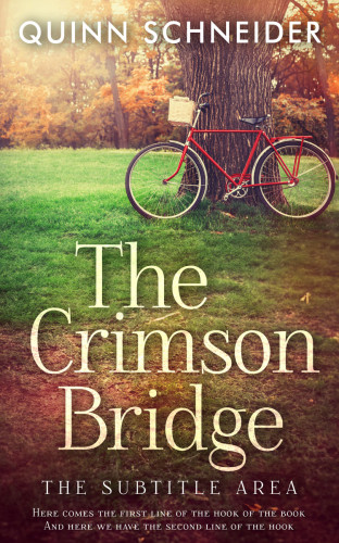 3D mockup of Quincy #15967 - Premade Literary Fiction Book Cover