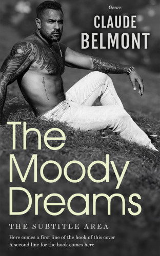 3D mockup of Mine Shaft #16291 - Premade Erotica Book Cover