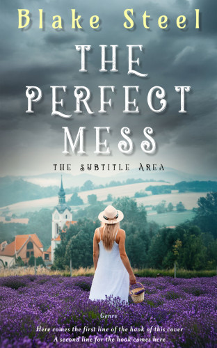 3D mockup of Shuttle Gray #16332 - Premade Romance Book Cover