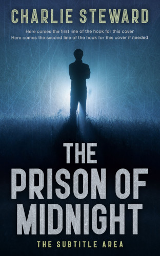 3D mockup of Big Stone #20914 - Premade Mystery & Thriller & Suspense Book Cover