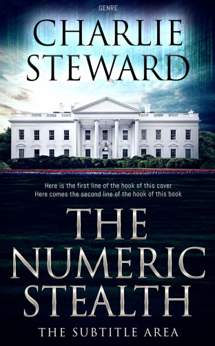 3D mockup of Ebony #20979 - Premade Mystery & Thriller & Suspense Book Cover