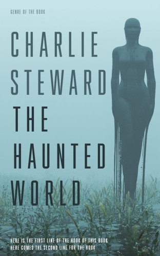 3D mockup of Gulf Stream #21398 - Premade Horror Book Cover