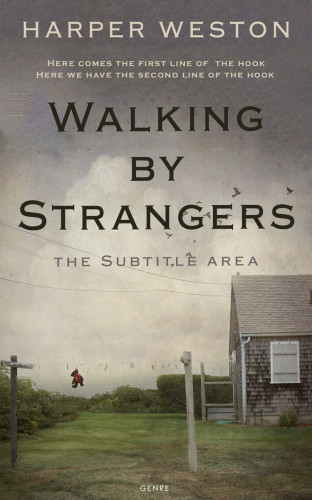 3D mockup of Flint #22775 - Premade Literary Fiction Book Cover