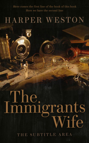 3D mockup of Driftwood #23091 - Premade Historical Book Cover