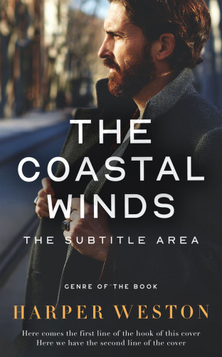 3D mockup of Baltic Sea #24043 - Premade Mystery & Thriller & Suspense Book Cover