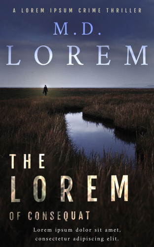 3D mockup of Baltic Sea #25063 - Premade Travel Book Cover