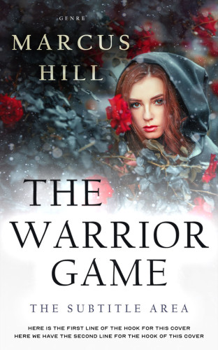 3D mockup of Ship Gray #25549 - Premade Fantasy Book Cover