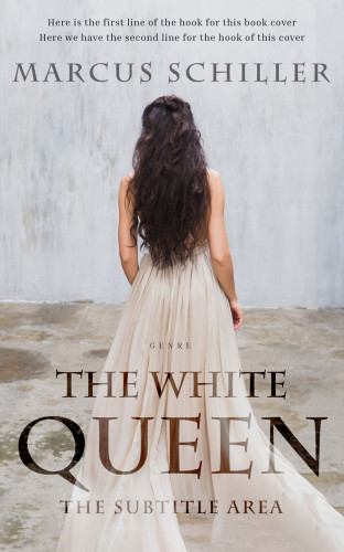 3D mockup of Silver #25733 - Premade Romance Book Cover