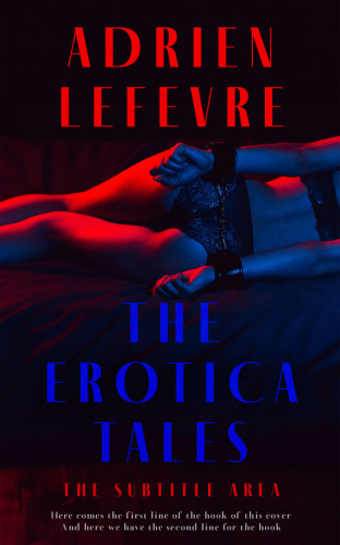 3D mockup of Ebony #29289 - Premade Erotica Book Cover