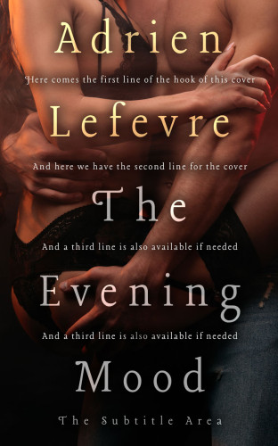 3D mockup of Night Rider #29351 - Premade Erotica Book Cover