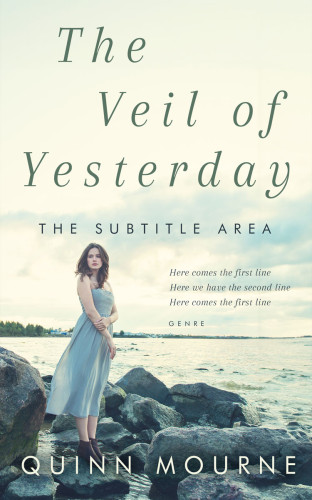 3D mockup of Limed Spruce #30070 - Premade Travel Book Cover | BookCoverZone