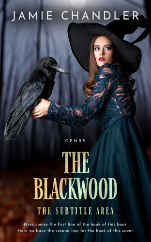 3D mockup of Bunker #31343 - Premade Fantasy Book Cover