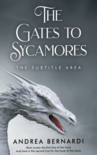 3D mockup of Shuttle Gray #31842 - Premade Fantasy Book Cover