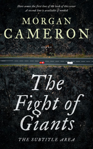 3D mockup of Woodsmoke #33034 - Premade Mystery & Thriller & Suspense Book Cover