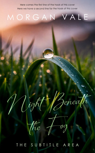 3D mockup of Rodeo Dust #33745 - Premade Poetry Book Cover