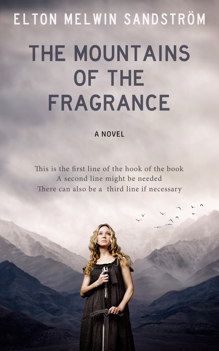 2D view of Premade Fantasy Book Cover - Silver Rust