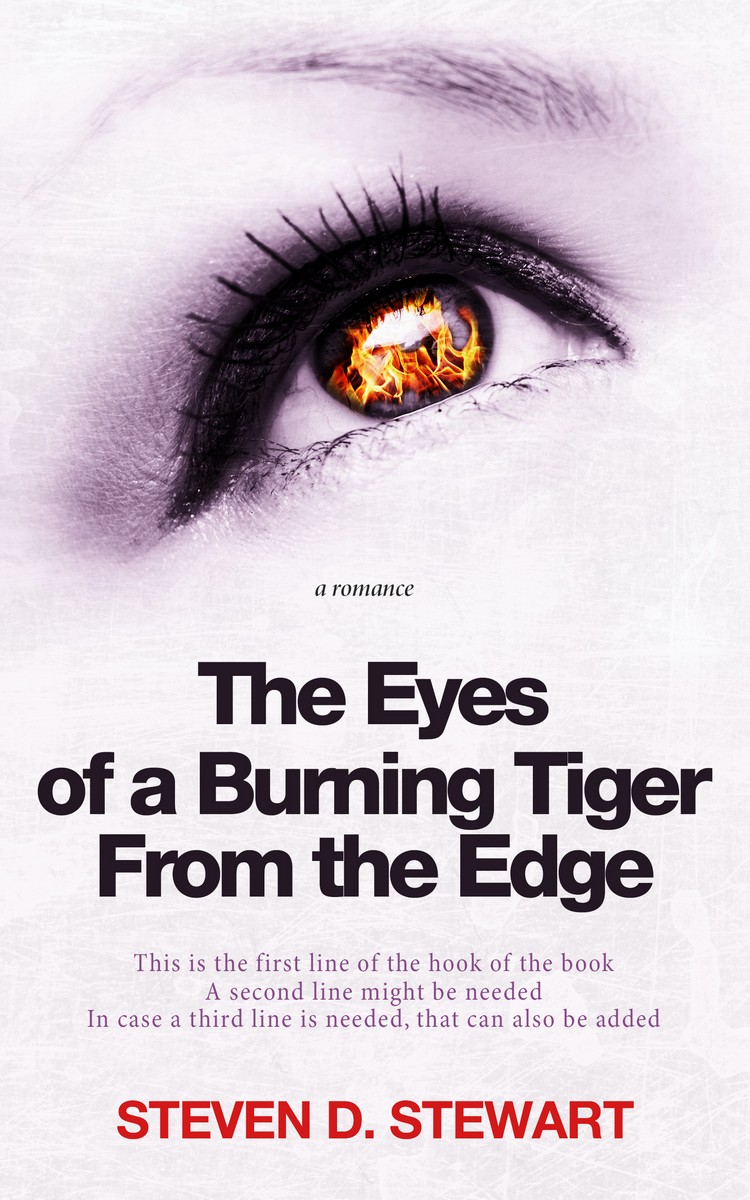 2D view of Premade Literary Fiction Book Cover - Prim