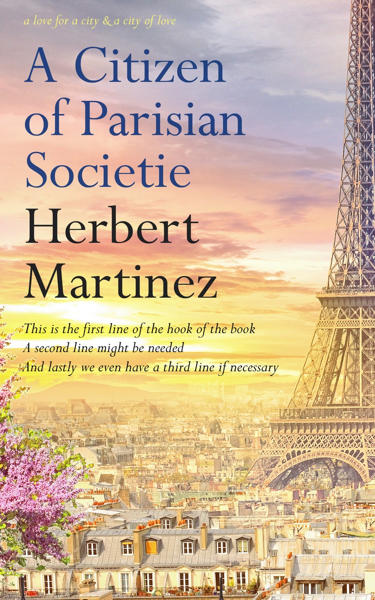 2D view of Premade Travel Book Cover - Hampton