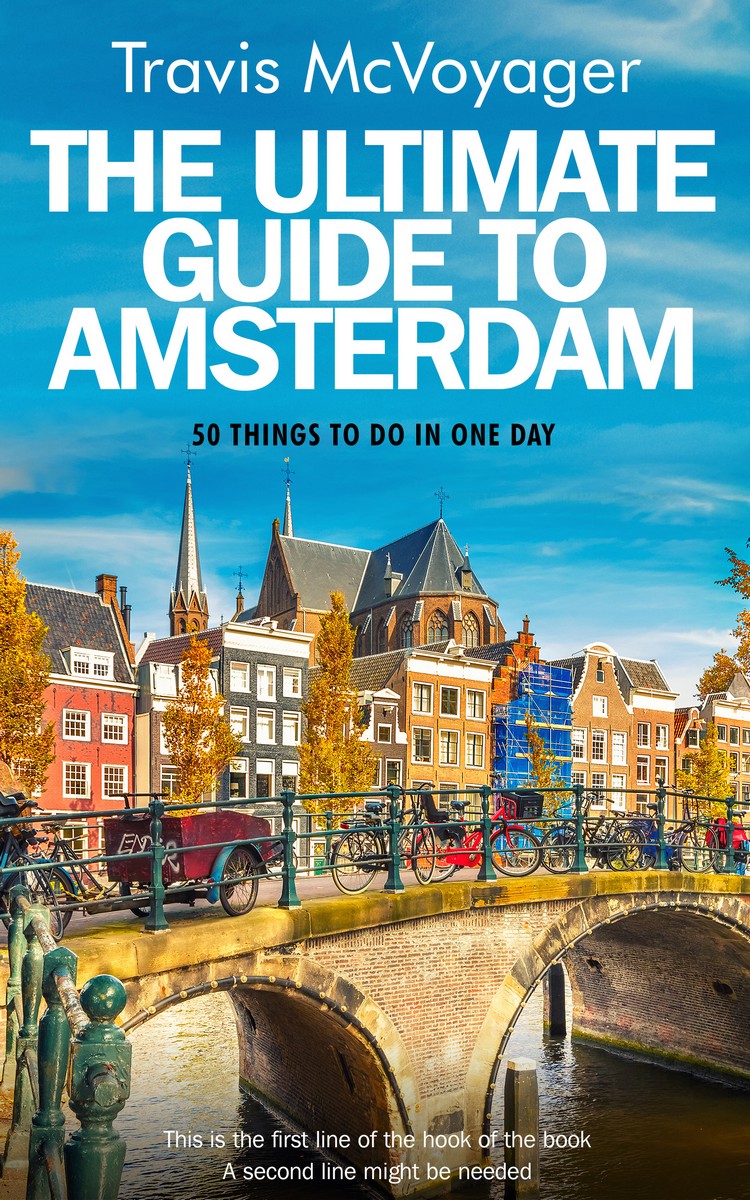 2D view of Premade Travel Book Cover - Curious Blue