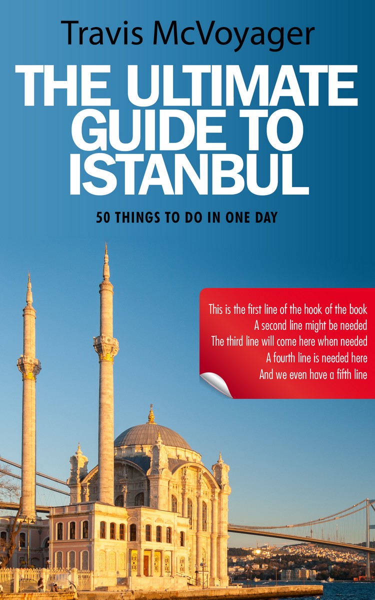 2D view of Premade Travel Book Cover - Steel Blue