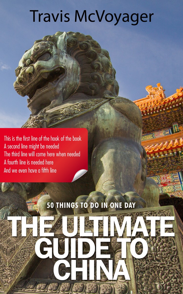 2D view of Premade Travel Book Cover - Armadillo