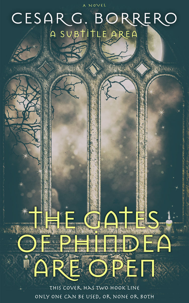 2D view of Premade Fantasy Book Cover - Limed Spruce