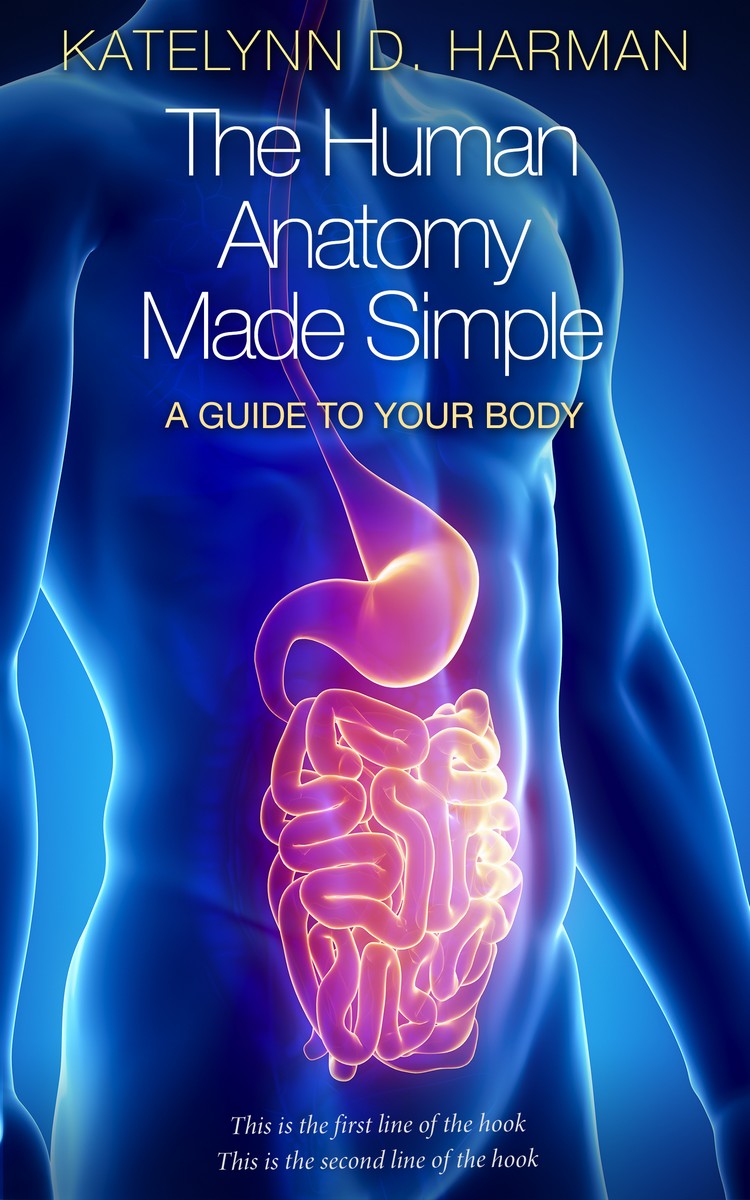 2D view of Premade Health & Mind & Body Book Cover - Torea Bay