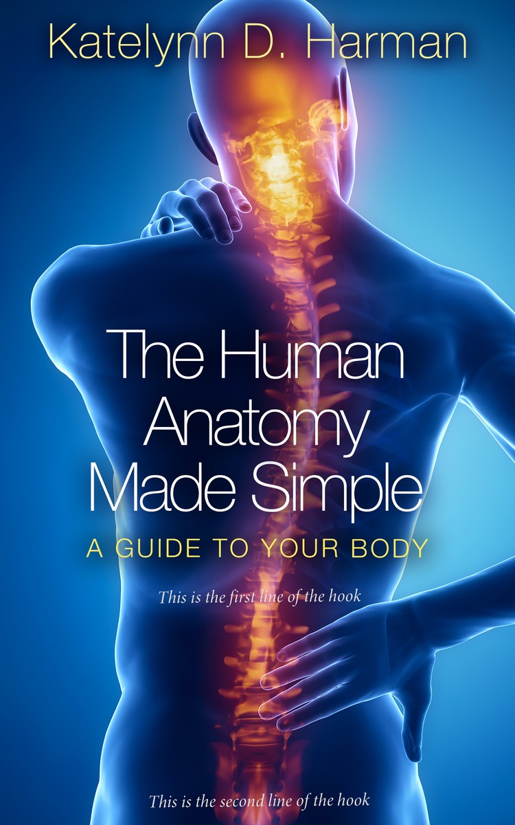 2D view of Premade Health & Mind & Body Book Cover - Chathams Blue