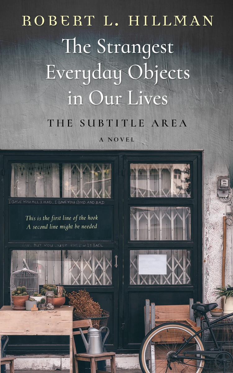 2D view of Premade Literary Fiction Book Cover - Cape Cod