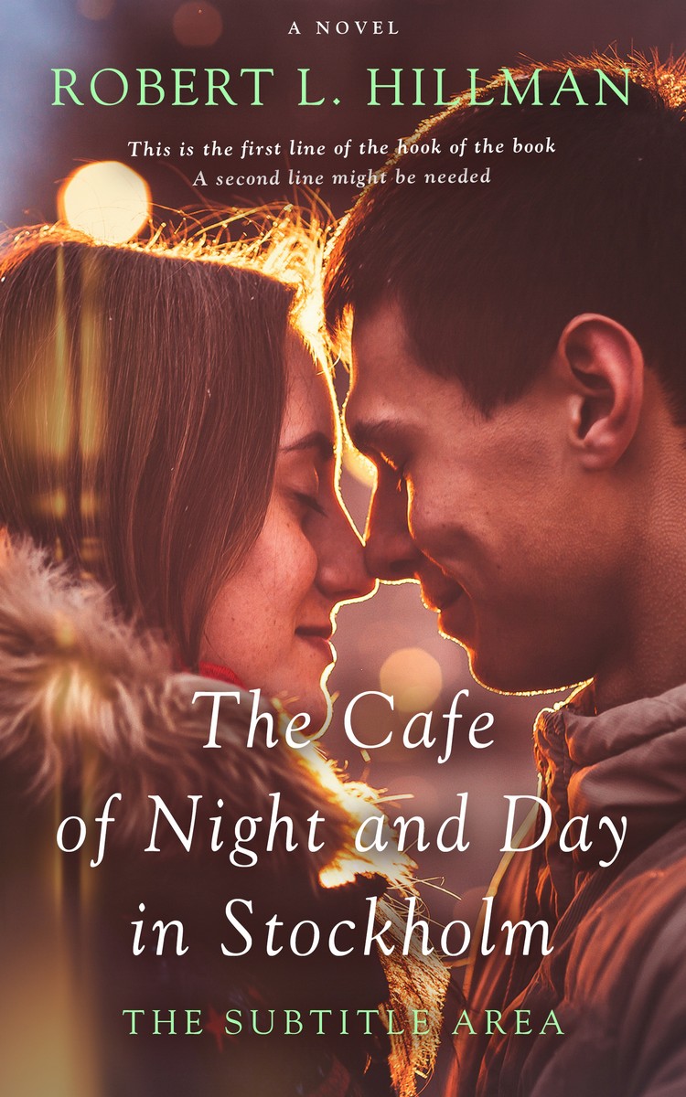 2D view of Premade Romance Book Cover - Cowboy