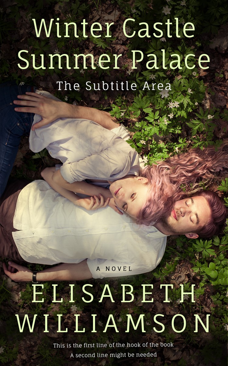 2D view of Premade Romance Book Cover - Rodeo Dust