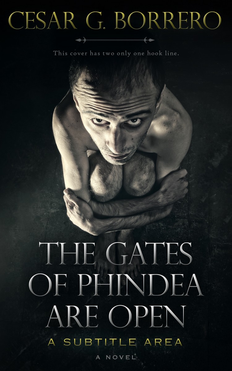 2D view of Premade Mystery & Thriller & Suspense Book Cover - Woodsmoke