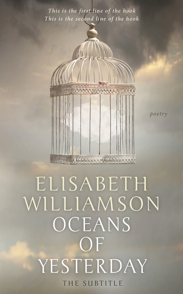 2D view of Premade Abstract Book Cover - Zorba