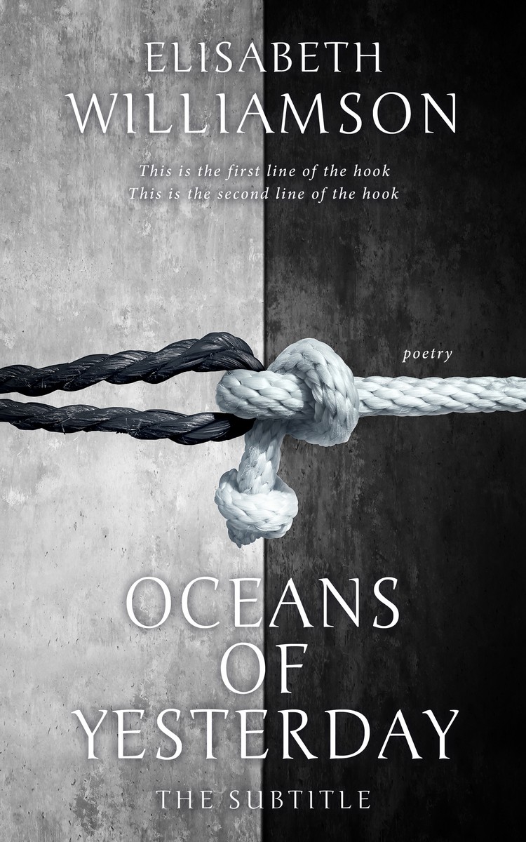 2D view of Premade Poetry Book Cover - Silver Sand